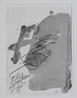 Perfil 2004 Gouache e matita su carta  35,5 x 25,5 cm